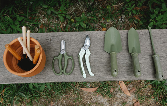 subbanner-01 subbanner-01